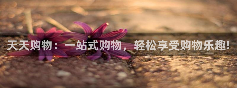 巅峰国际2登录地址：天天购物：一站式购物，轻松享受购物乐趣!