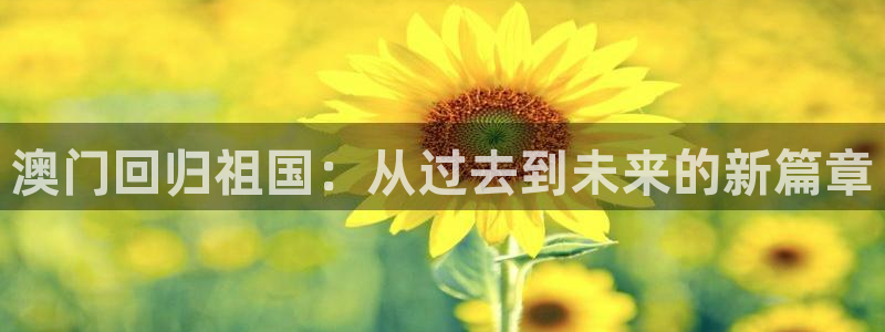 巅峰国际体育官网注册：澳门回归祖国：从过去到未来的新篇章
